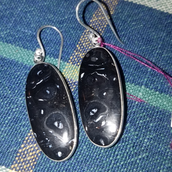 NEW PLUME AGATE IN STERLING SILVER EARRINGS - Picture 1 of 6